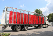Our company